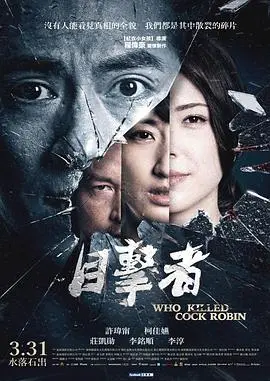 《目击者之追凶》：真相迷雾下的惊悚追逐，悬疑升级！