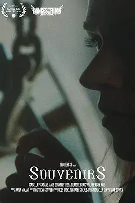 纪念品商店:关于爱与记忆的温馨故事