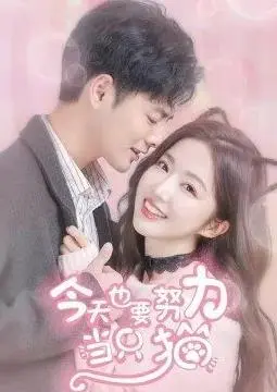 萌力出击！《今天也要努力当只猫》爆笑治愈来袭